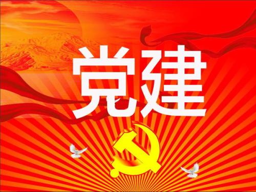 公司党支部“三亮三比”党建活动