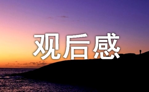2021英雄回家志愿军烈士遗骸回国直播观后感