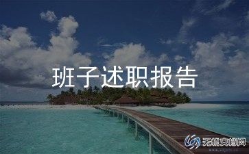 202年领导班子述职报告8篇