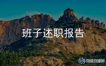 分管领导工作总结7篇