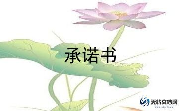 农民工工资发放承诺书范文5篇