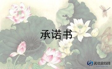 单位保密承诺书样本6篇