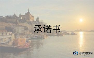 个人安全承诺书格式范文11篇