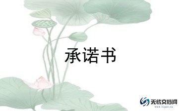个人保密承诺书格式范文9篇