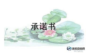 个人责任承诺书格式范文7篇