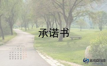 质量安全承诺书模板6篇