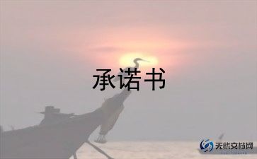 个人还款承诺书范文6篇