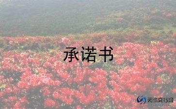延期还款承诺书范文3篇