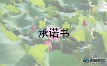 我个人承诺书6篇