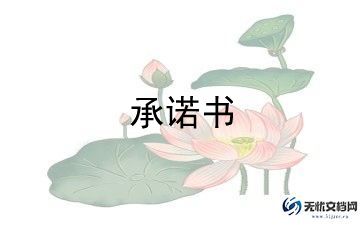 最新版2022婚姻承诺书范本8篇