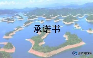 员工承诺书范文模板最新9篇