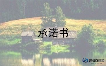 保证质量安全承诺书8篇