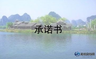 道路施工安全承诺书范文5篇