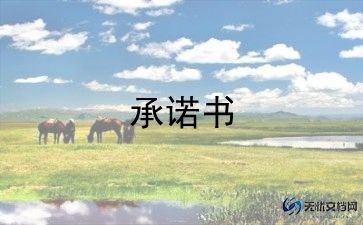 安装施工安全承诺书范文9篇