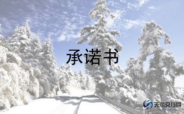 2022年党员工作承诺书范文5篇