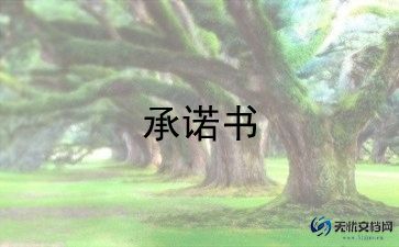施工安全承诺书范文格式5篇