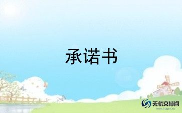 个人工作承诺书通用5篇