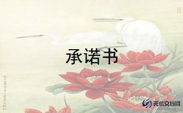 最新党员整改承诺书范文6篇