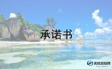 公司向单位承诺书范文9篇