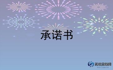 提供材料真实性承诺书最新10篇