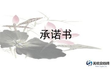 教师党员个人承诺书范文5篇