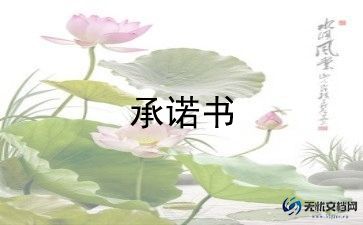 施工安全承诺书范文简短7篇