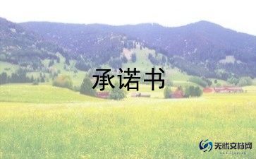 付款承诺书8篇