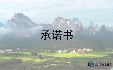 个人保密承诺书8篇