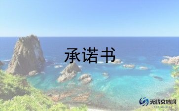 产品质量安全承诺书8篇