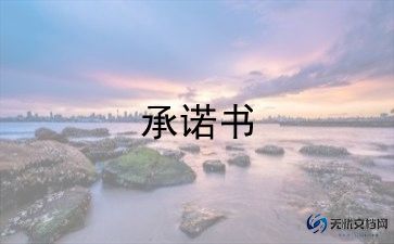 质量安全承诺书范文6篇