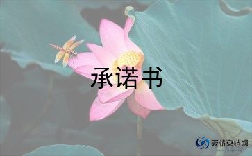 施工安全责任承诺书范文6篇