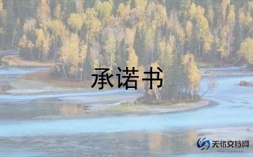 单位施工安全责任承诺书范文8篇