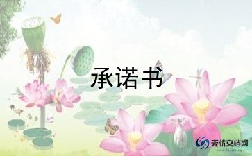 个人运输承诺书格式范文10篇