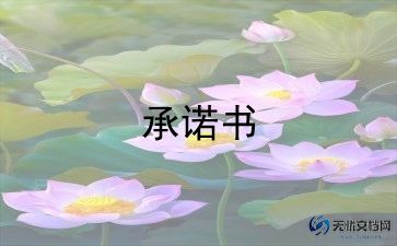 幼儿园教师承诺书范文模板9篇