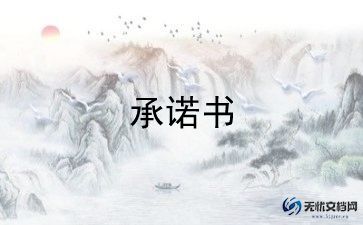 2022年最新付款承诺书范文6篇
