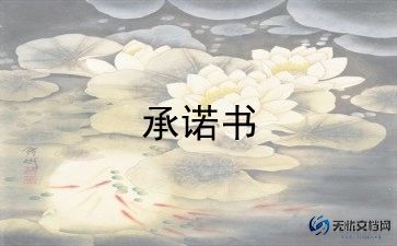 分期还款承诺书范文5篇