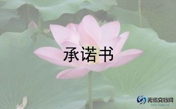 工程还款承诺书范文4篇
