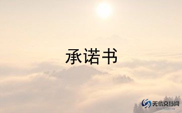 个人向公司承诺书8篇