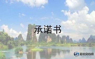 企业质量安全承诺书5篇