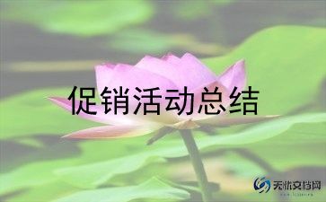 搞促销活动总结优秀6篇