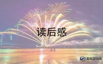 理想的风筝读后感精选7篇