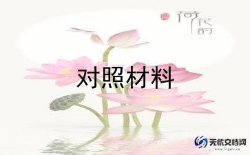 十对照十检查材料模板7篇