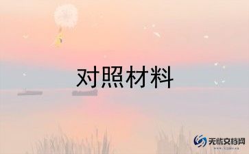 巡视检查对照材料5篇
