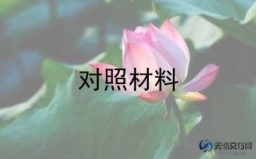 217党员检查对照材料7篇