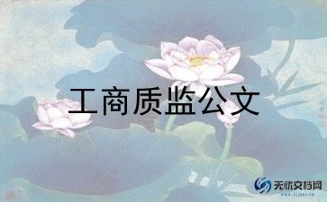 再监督工作总结优秀6篇