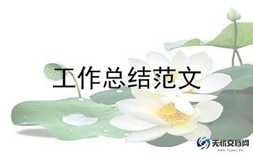 局能力作风建设年工作总结7篇