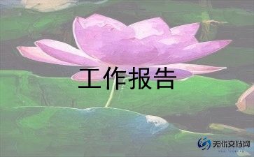 乡镇职述职述廉报告5篇