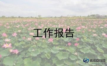 转正报告里的工作总结7篇
