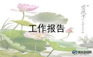 公司年度总结报告7篇