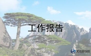 项目经理的总结报告6篇